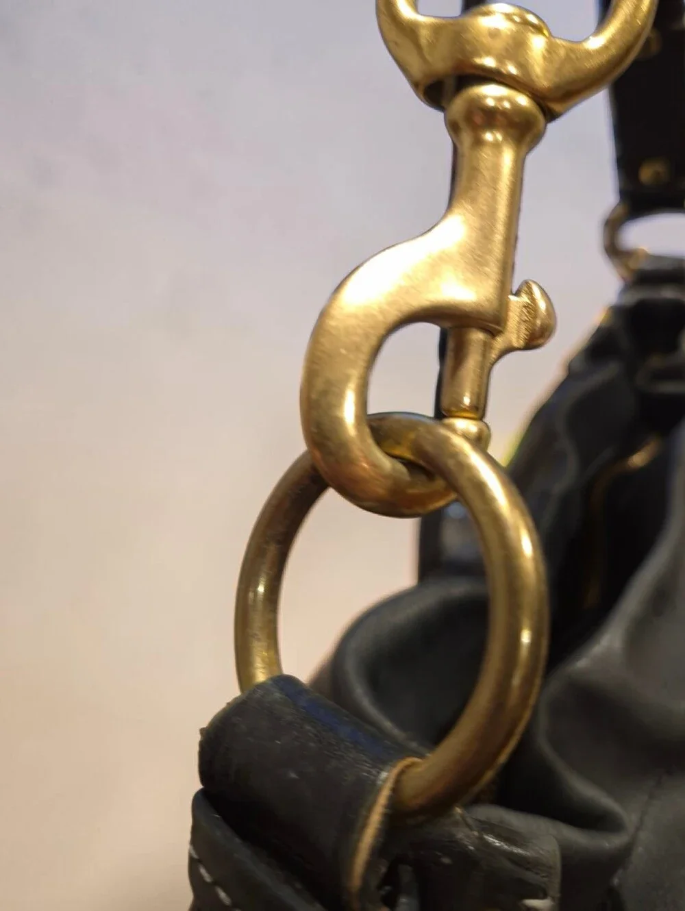 Coach Carly Leather Shoulder Bag